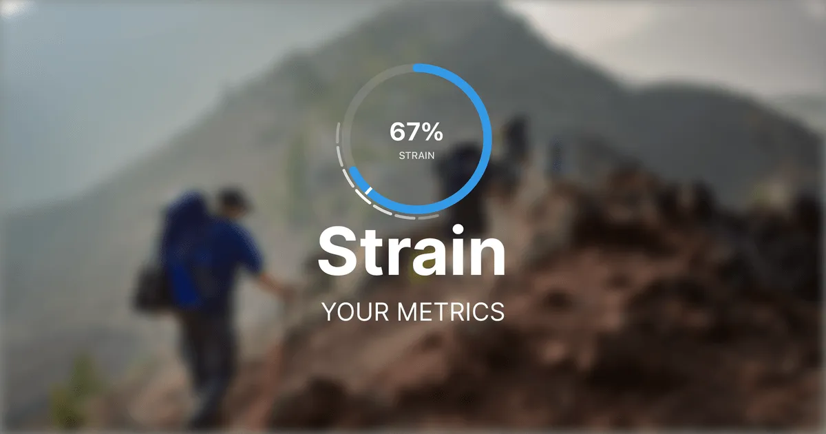 How Zenith measures strain